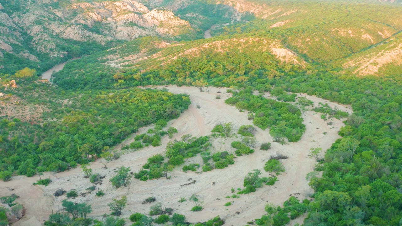 Wide aerial view in Cabo Pulmo with a branching pale riverbed crossing the lower frame, green hills rising behind it, and no visible people.