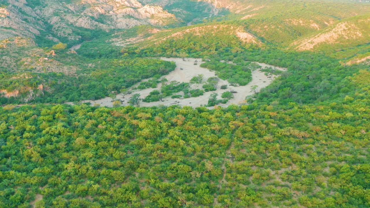 Aerial view of a pale river winding through green forest below rocky hills.