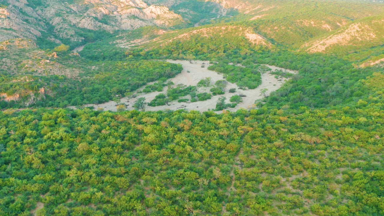 Aerial view in Cabo Pulmo with the riverbed centered farther into the valley, thick tree cover below, rocky slopes behind it, and no visible people.