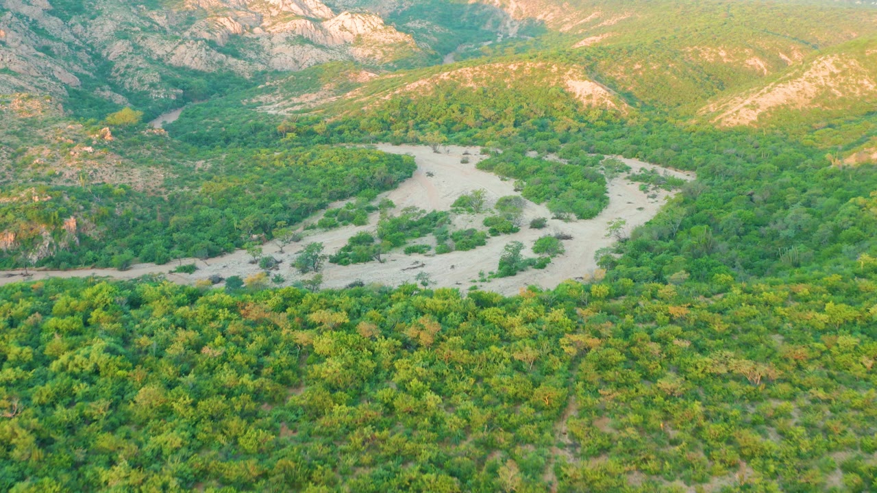 Mid-clip aerial frame from Cabo Pulmo with the pale river bend larger in view, dense green trees around it, rocky mountain walls beyond, and no visible people.