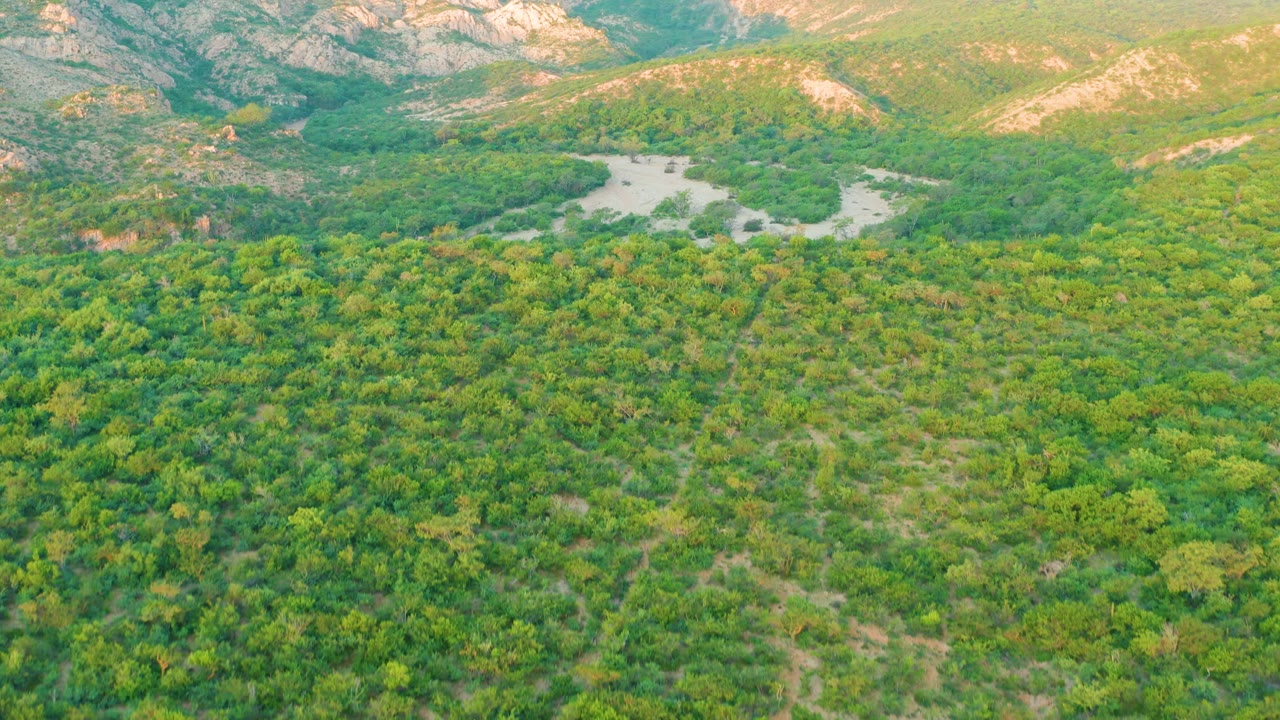 Aerial view of a winding pale river through dense green forest below rocky mountains.