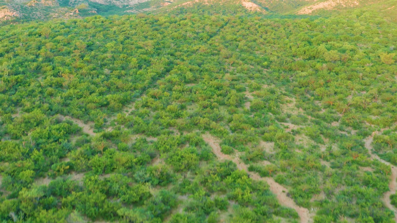 The second frame shows patterned rows of green vegetation in Cabo Pulmo with sandy channels cutting through the lower half and hills along the horizon, no visible people.