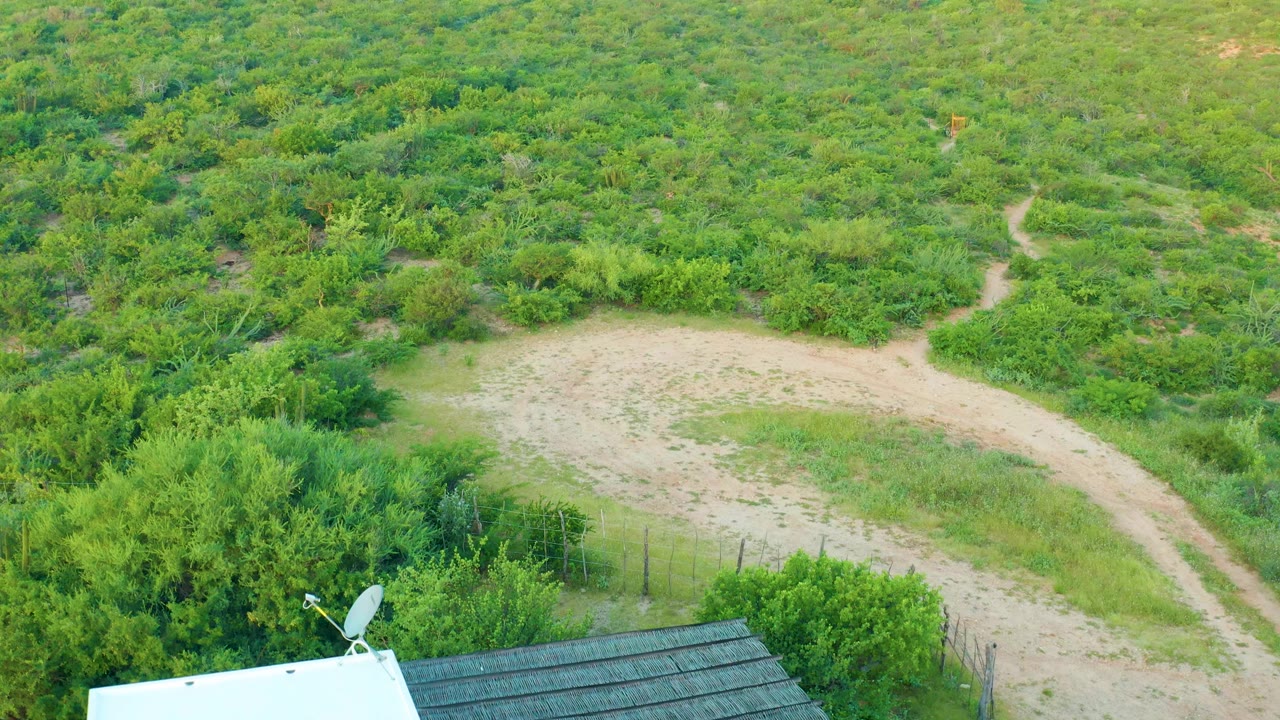 Aerial frame in Cabo Pulmo, Baja California Sur with a pale dirt path curving through green shrubs, a partial roof and satellite dish at the bottom edge, and no visible people.