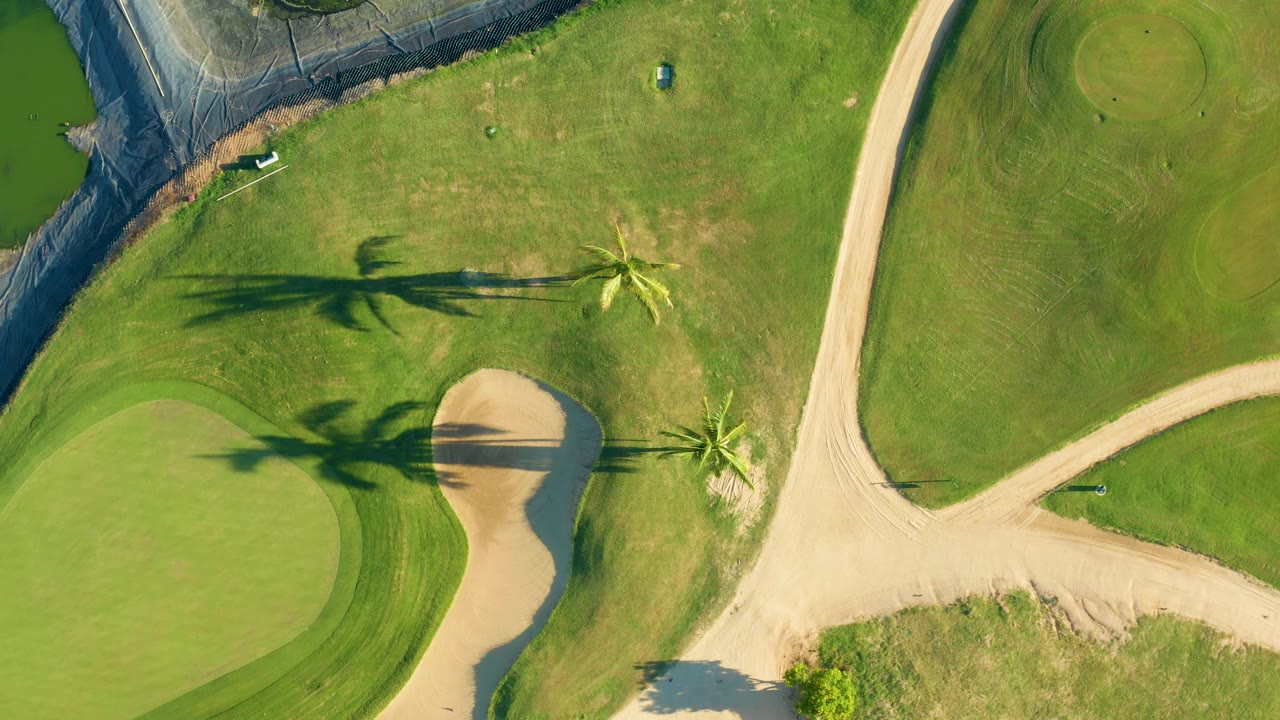 Top-down San Jose Del Cabo golf course frame with the putting green edge at lower left, the bunker near center right, palms beside the sand, intersecting paths, and no visible people.
