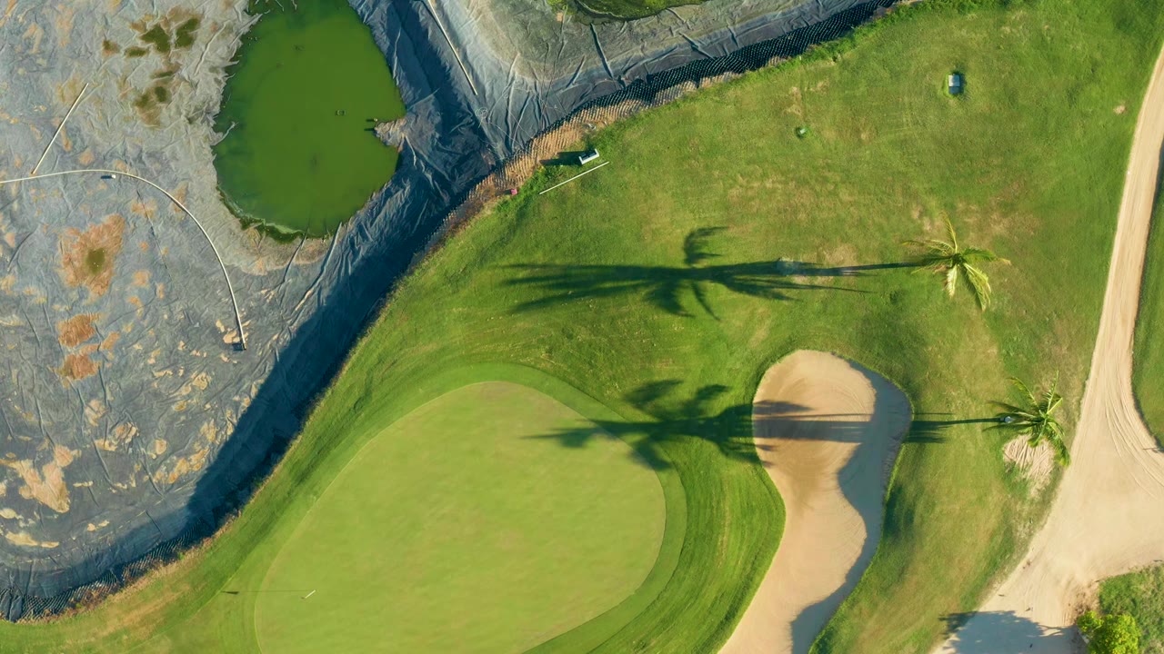 Aerial frame from San Jose del Cabo with the dark pond high on the left, a rounded green below, a sand bunker to the right of the green, and palm shadows crossing the grass, with no visible people.