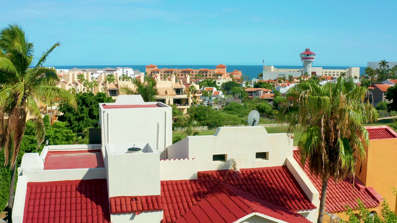 A tall palm tree rises near the center of the San Jose del Cabo view, with red tile roofs below, cream and white buildings beyond, ocean horizon, and no visible people.