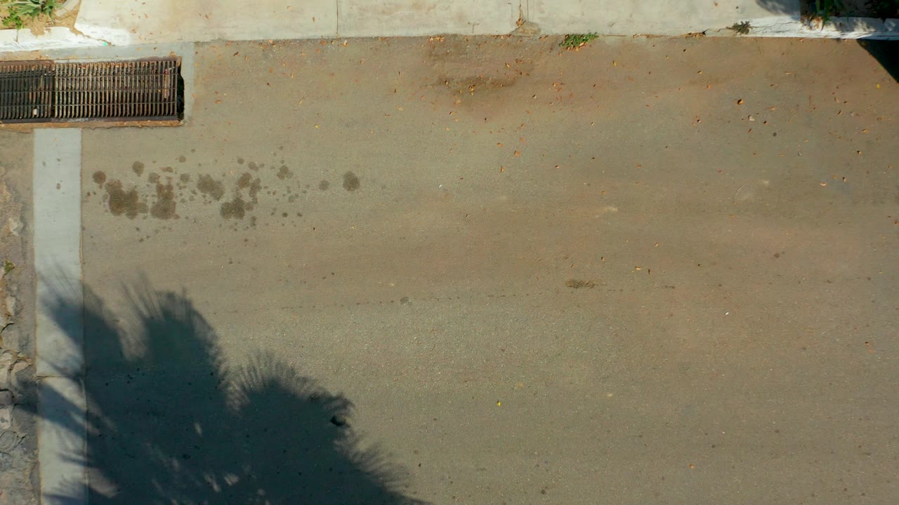 A similar overhead rooftop view in San Jose Del Cabo shows the rectangular drain grate, pale concrete strip, darker concrete surface, palm shadow at lower left, and no visible people.