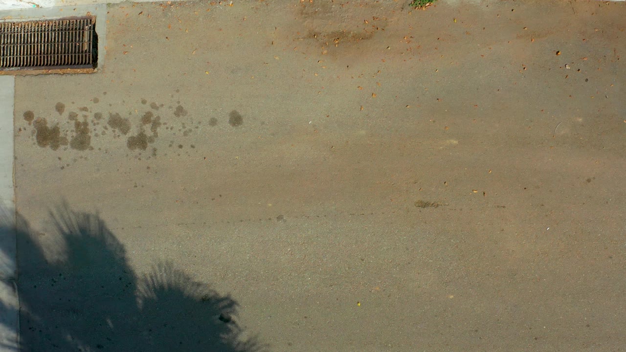Concrete rooftop view with drain grate at upper left and palm shadow below