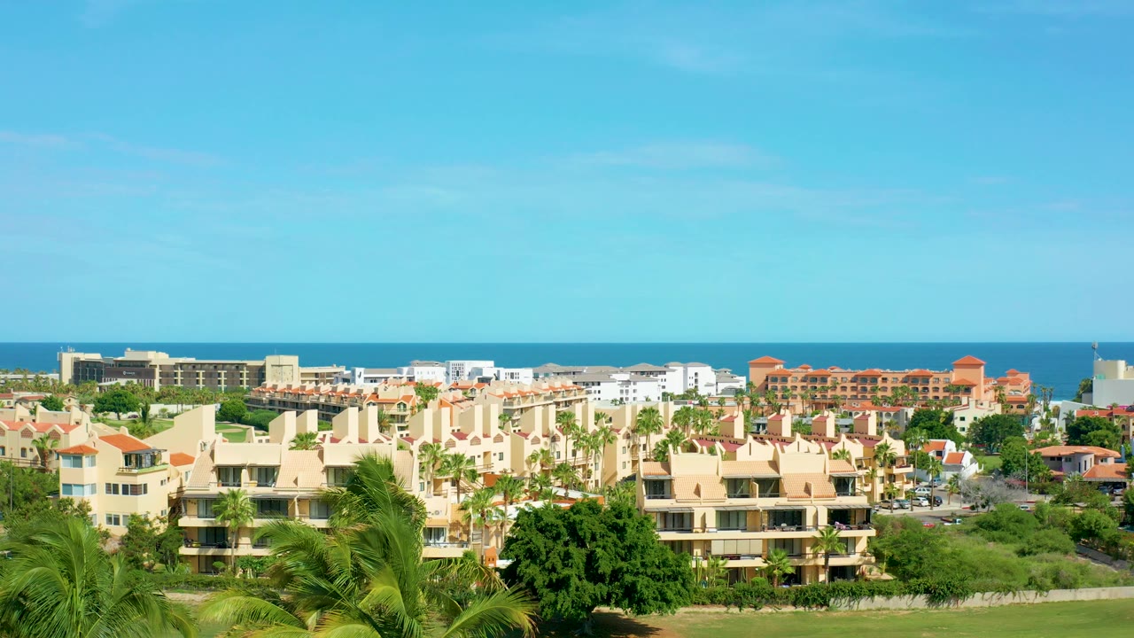 Palm fronds in front of coastal buildings and blue ocean