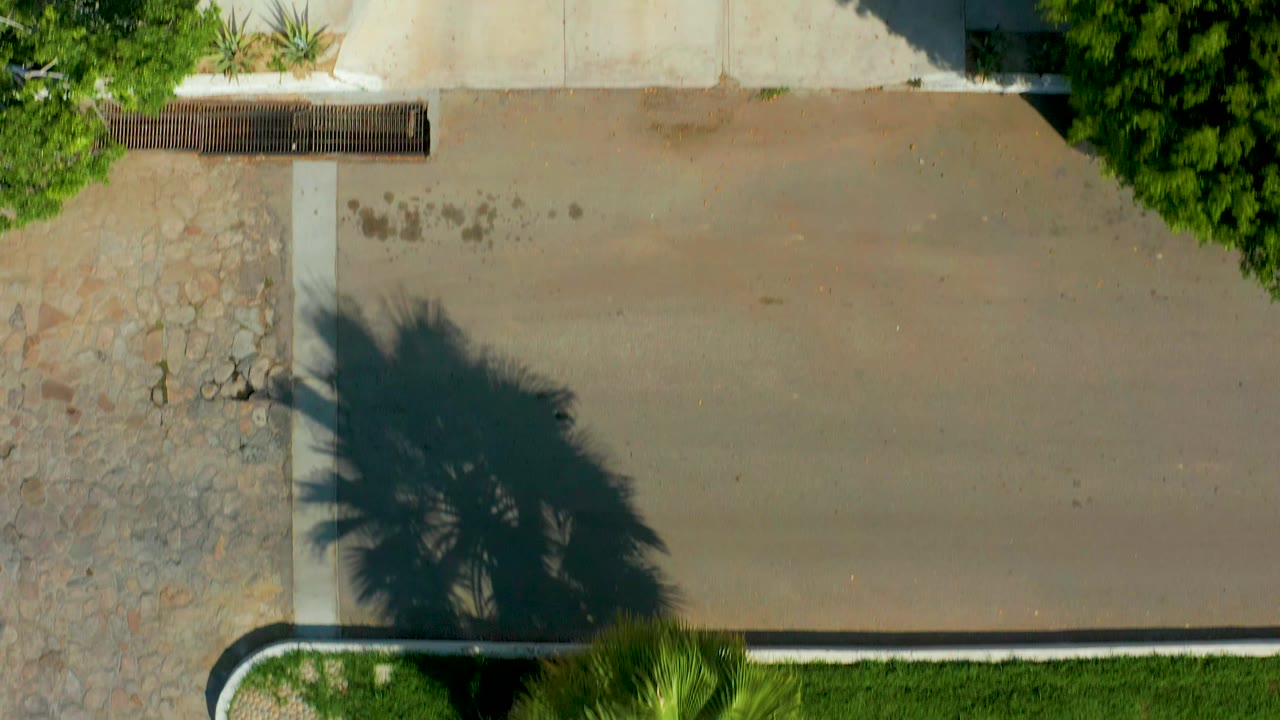 Overhead view in San Jose del Cabo showing a tan paved driveway bordered by stone paving, green grass, shrubs, and a large palm shadow, with no visible people.