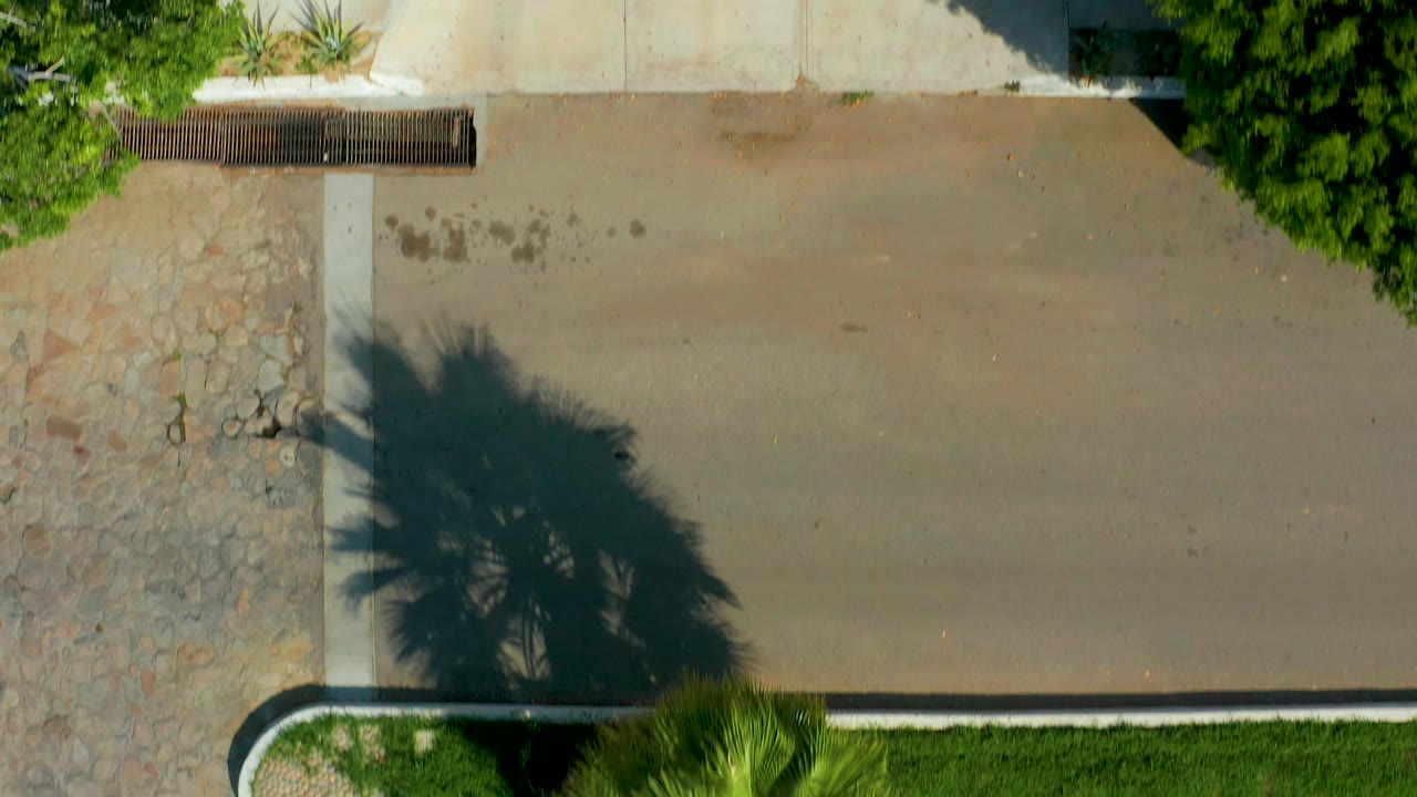 Aerial frame from San Jose del Cabo with the driveway centered, stone paving on the left, a grass strip along the lower edge, tree foliage at the top, and no visible people.