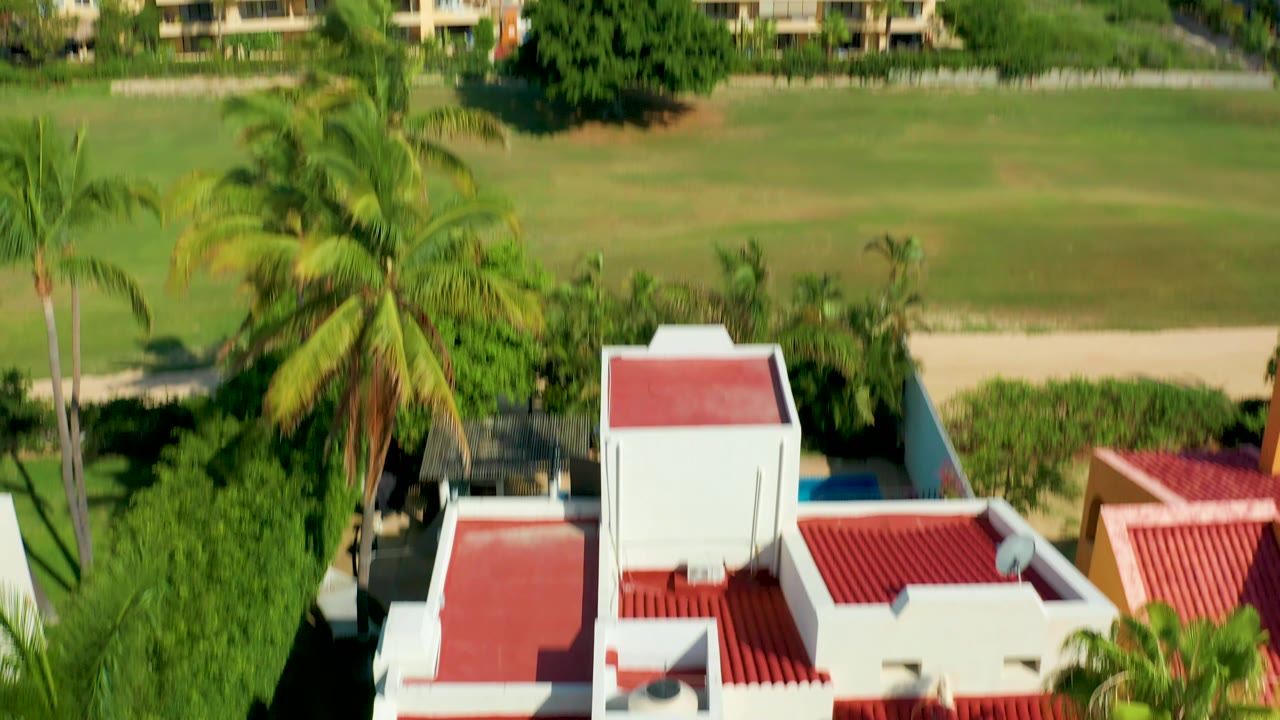Aerial composition in San Jose Del Cabo with palms crossing the foreground, red-roofed white buildings below, green grass behind them, and no visible people.