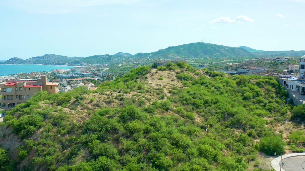 Hillside vegetation with city blocks and ocean beyond.