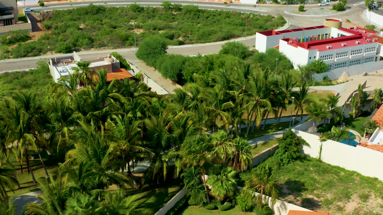 Aerial view in San Jose Del Cabo with palm canopies dominating the lower frame, a road and white building with a red roof near the top, and no visible people.