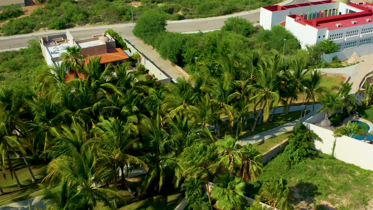 Closer aerial view of palm trees, walled houses, roads, and driveways