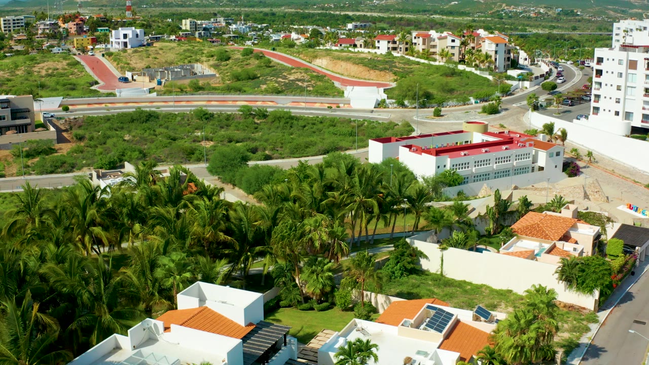 Aerial frame in San Jose Del Cabo showing a dense palm canopy below, white homes with orange roofs, a red-roofed building, roads, and no visible people.