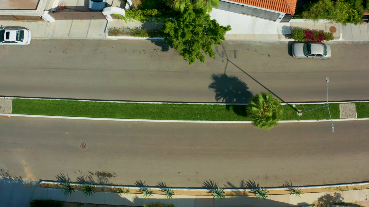 Top-down frame of a divided street in San Jose del Cabo with a grass median, curbside parked cars, trees, sidewalks, and no visible people.