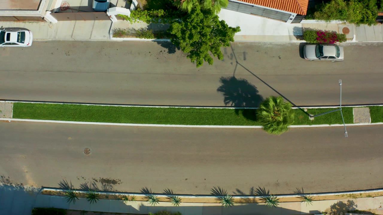 Overhead San Jose del Cabo road frame with the grass median centered, parked vehicles near the upper curb, tree shadows across the asphalt, and no visible people.