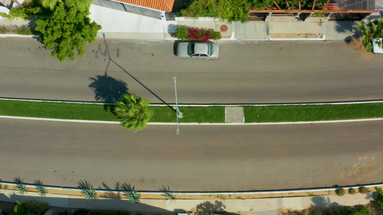 Aerial overhead frame in San Jose del Cabo with the white car crossing the upper road lane, palm trees on the green median, parked cars by homes, and no visible people.