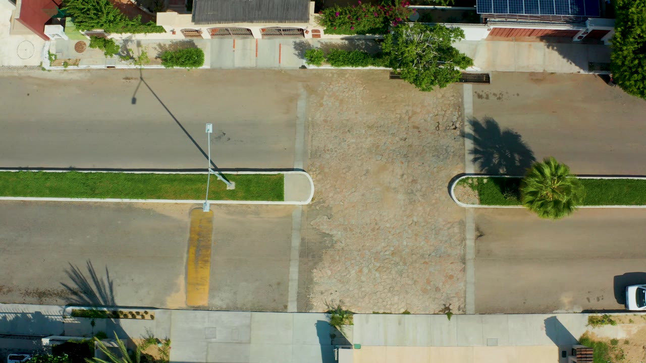Top-down view of a San Jose Del Cabo residential street at the opening moment, showing driveways, a grassy center strip, sidewalks, palm shadows, and no visible people.