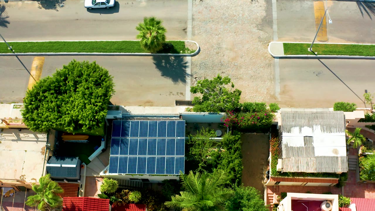 Overhead San Jose Del Cabo frame with the white car farther along the upper road, a large tree canopy, blue rooftop solar panels, sidewalks, and no visible people.