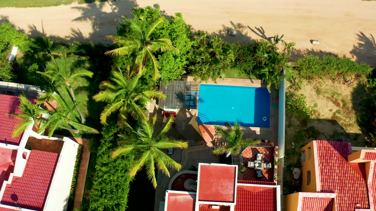 Drone view over palms, red roofs, a blue pool, and a small white bird on sandy ground.