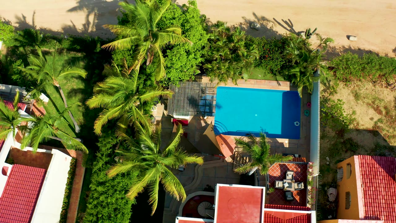 Aerial view of palms beside a bright blue pool and beach sand.