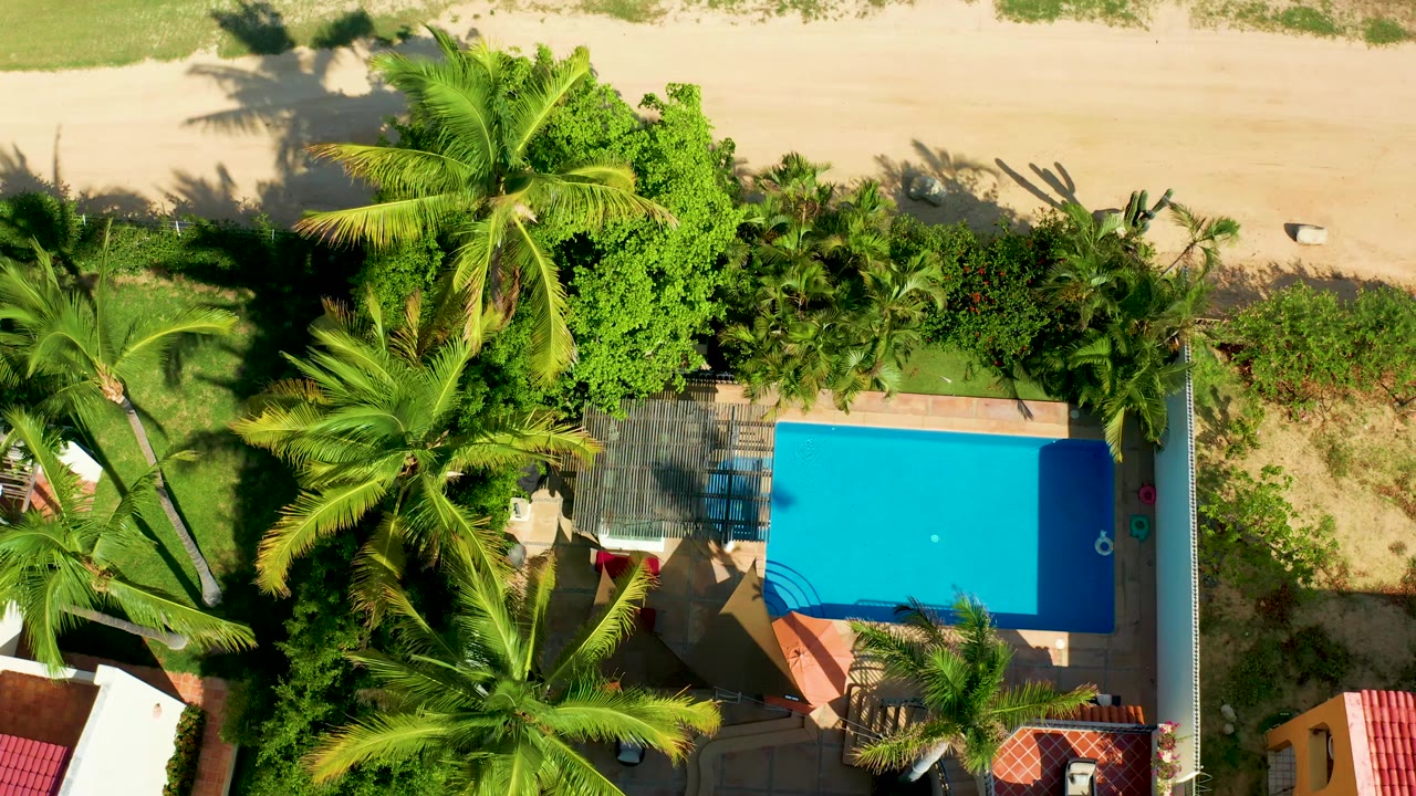 One second into the San Jose del Cabo clip, palm fronds cover more of the lower frame while the blue pool, sandy beach, red roof, and no visible people remain in view.