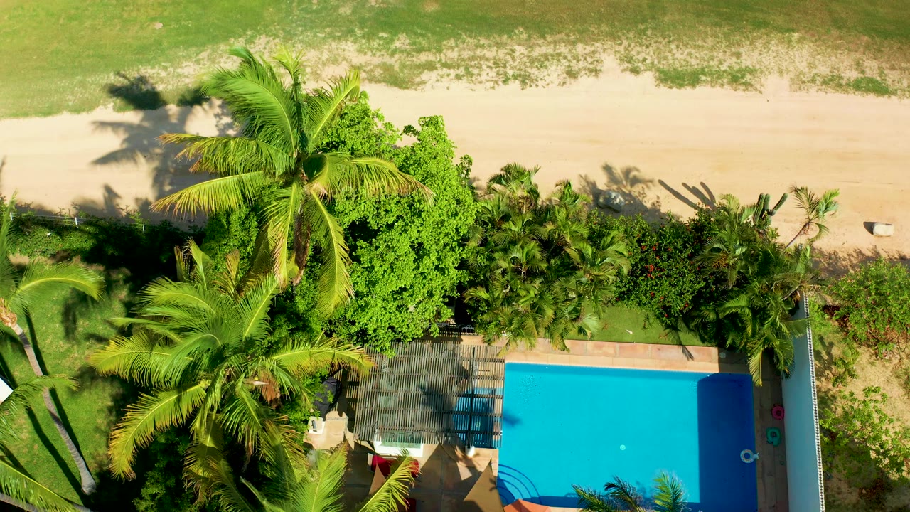 Overhead frame from San Jose del Cabo showing a blue rectangular pool partly below palms, dense greenery, a sandy beach strip, grass, and a tiny person near the pool area.