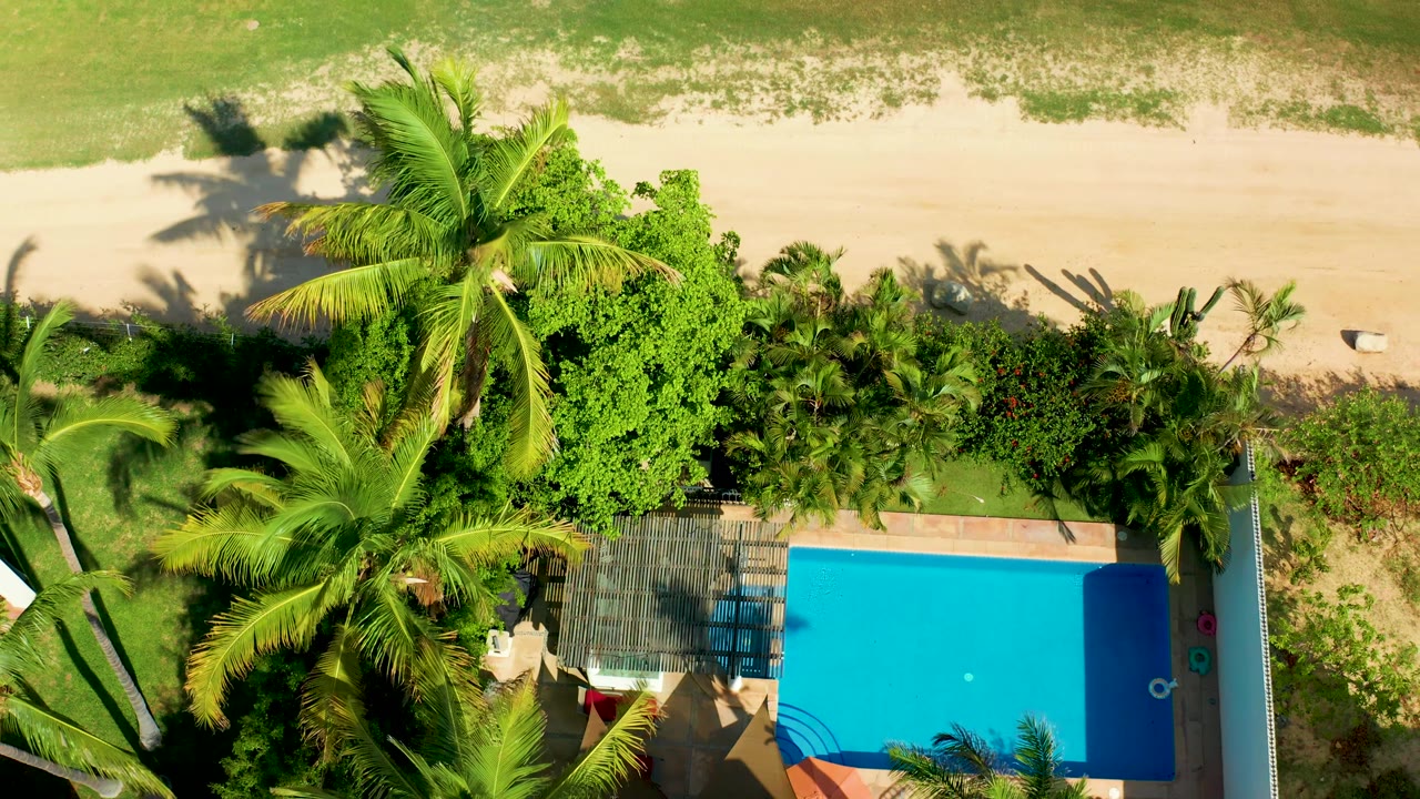Top-down San Jose del Cabo view with the blue pool more prominent on the right, palm fronds and shrubs through the middle, beach sand above, and a tiny person near the pool deck.