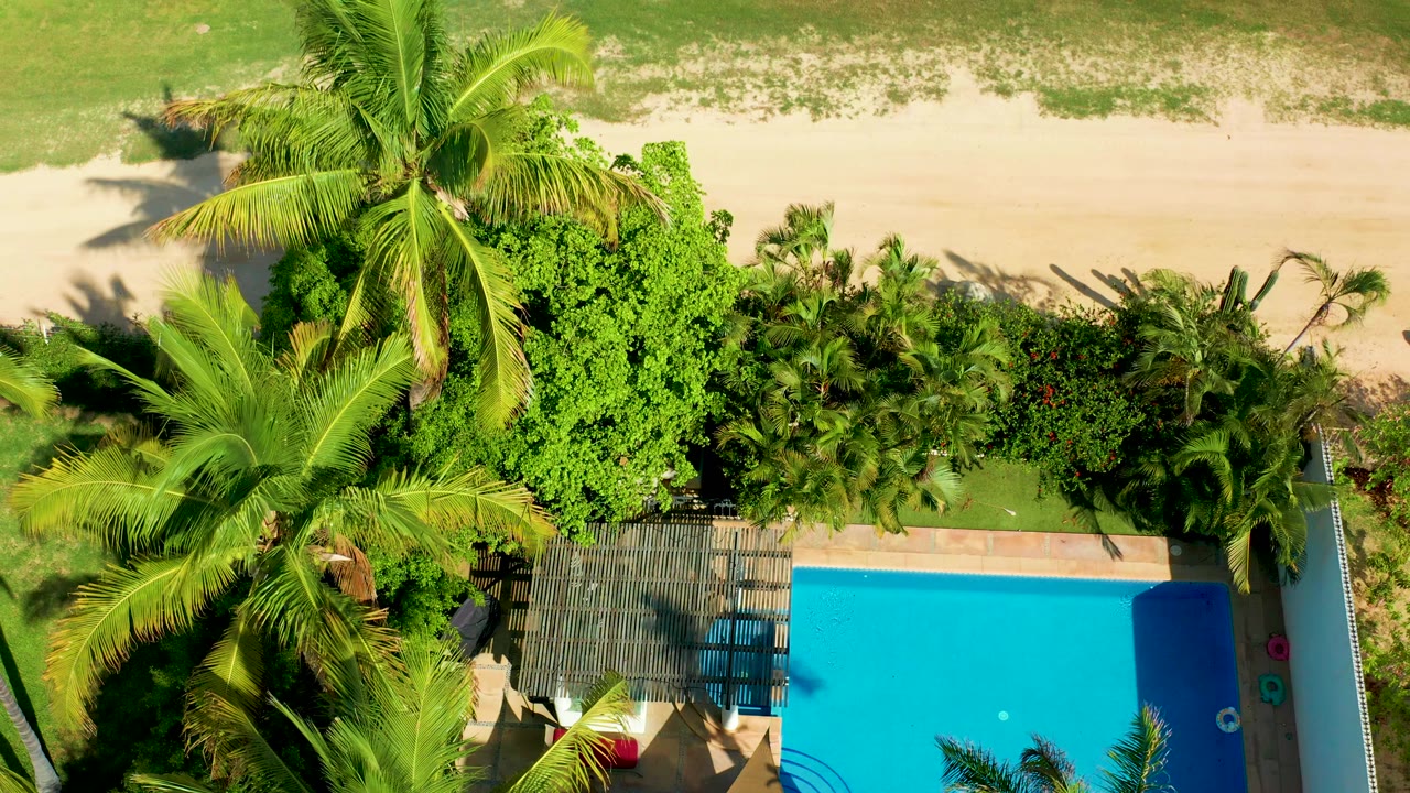 Overhead view in San Jose Del Cabo, Mexico, with a blue pool at the lower right, palm trees and dense foliage across the center, and a sandy beach above.