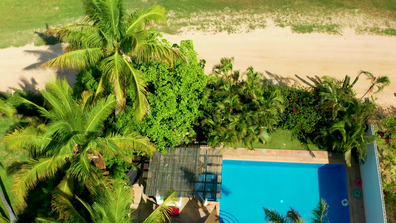 Aerial view of pool edge, palms, thatched roof, and beach.