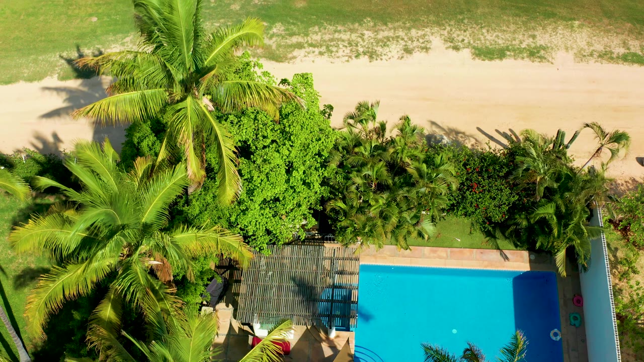 Top-down San Jose Del Cabo resort view with bright pool water in the lower right, a shaded deck roof below the palms, dense foliage, grass, and sand above.