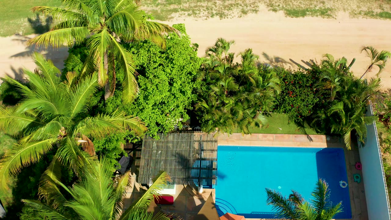 Top-down aerial frame in San Jose Del Cabo showing a blue pool, palm canopy, dense greenery, pale sand, and tiny poolside figures partly obscured by foliage.