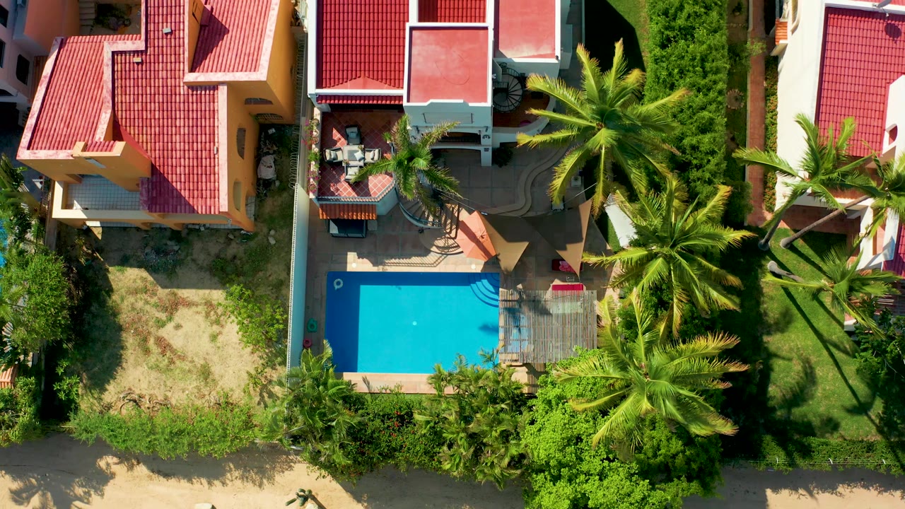 Top-down aerial of a house roof, pool, patio, and dense palm greenery.