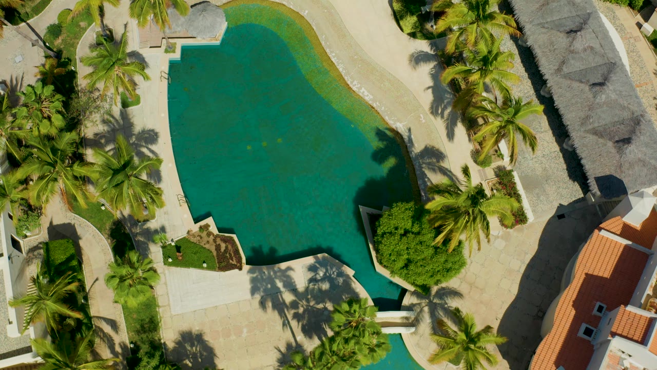 A straight-down aerial frame in San Jose Del Cabo shows the pool slightly shifted within the layout, with palms and rooflines framing the water and no visible people.