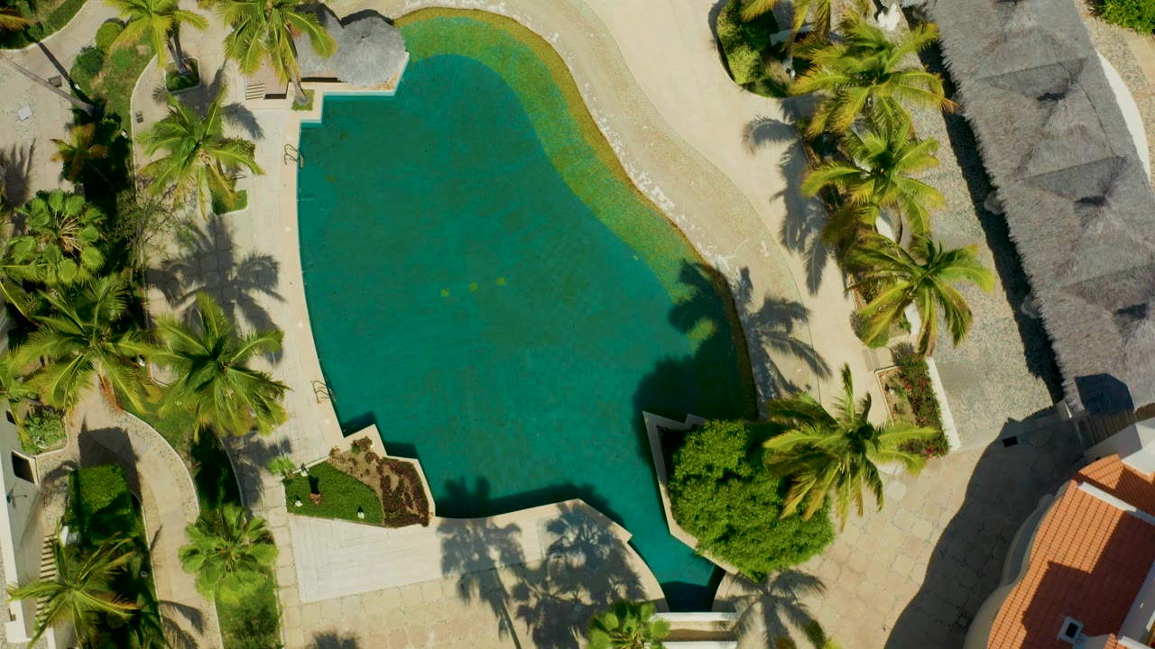 From overhead in San Jose Del Cabo, the pool curves through the frame beside dense palms, planted beds, pale concrete, roof edges, and no visible people.