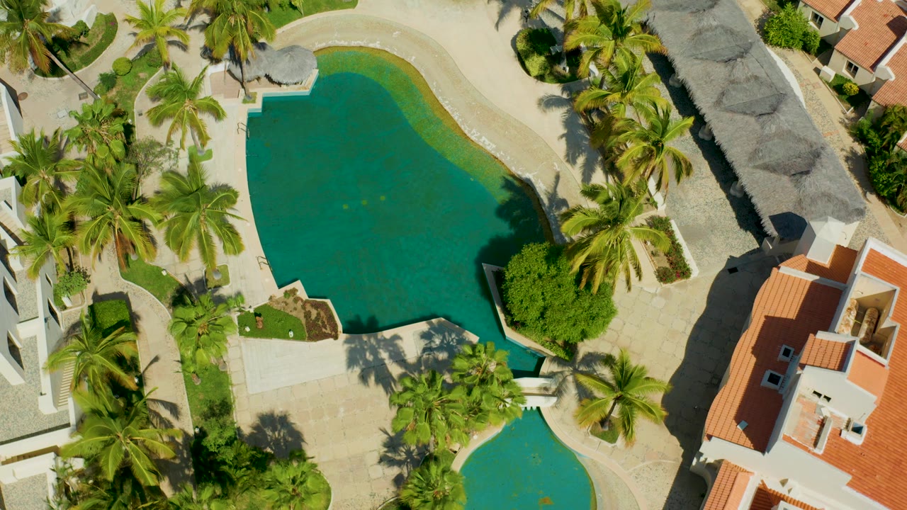 Resort pool and palm landscaping seen from above