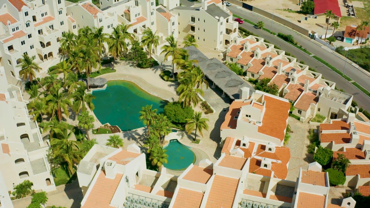 High aerial frame in San Jose del Cabo with the larger pool centered, a smaller round pool below it, palm trees around both pools, road lanes at the top, and no visible people.