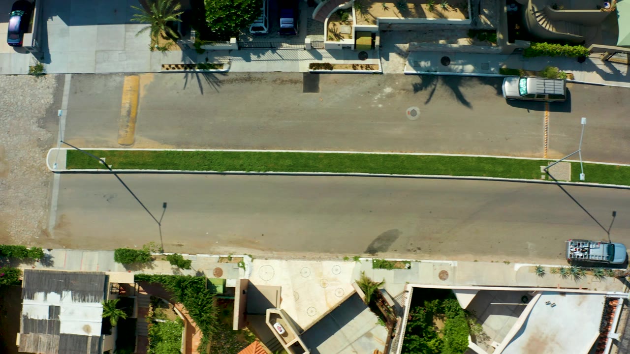 Top-down frame of the San Jose Del Cabo residential road with the median centered, parked cars near the edges, palms casting shadows, house lots, and no visible people.