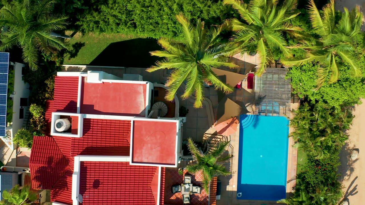 Aerial overhead frame in San Jose Del Cabo with the red roof centered left, the rectangular pool on the right, palm fronds near the top, and no visible people.
