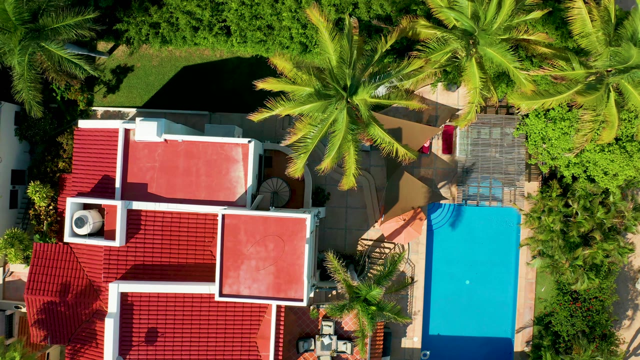 Aerial residential view with red roof, pool, palm canopy, and paved patio.