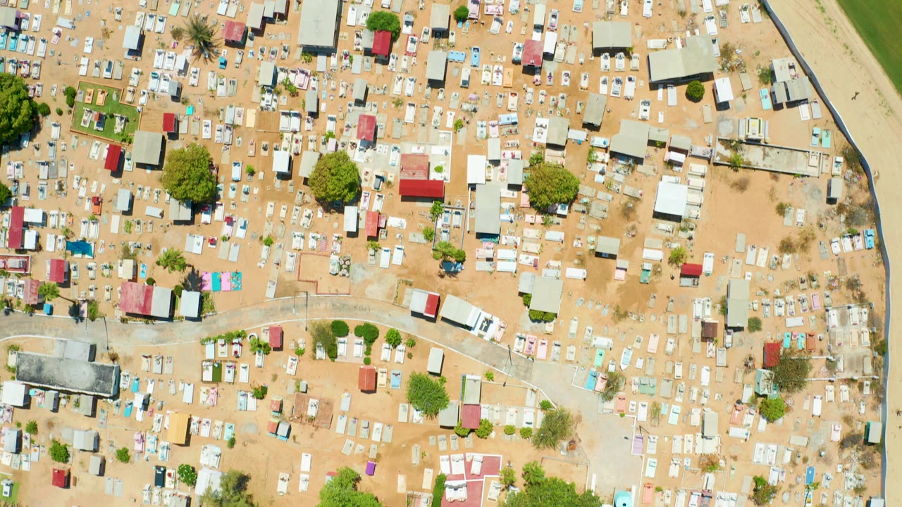 Overhead frame of an informal settlement in San Jose del Cabo, Baja California Sur, with compact roofs, scattered trees, a pale road at the right edge, and no visible people.