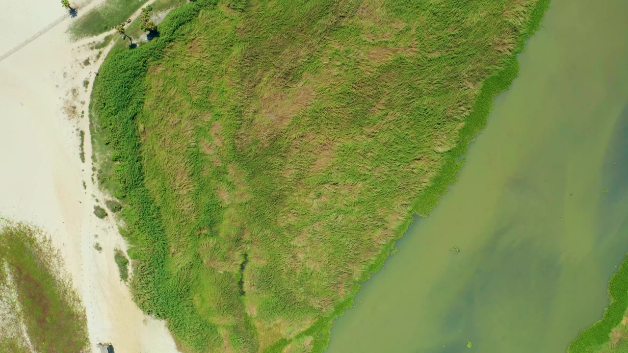 San Jose Del Cabo aerial frame with the grassy landmass centered, pale sand at left, green water at right, and no visible people.