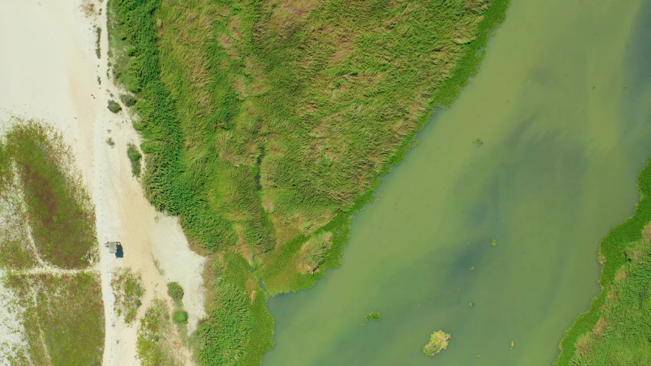 San Jose del Cabo aerial frame showing the dark vehicle on the sandy shoreline road, with a broad green water channel and textured brown-green vegetation, with no visible people.