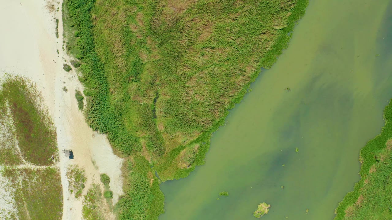 Drone frame from San Jose del Cabo with the sandy road along the left edge, green water through the center, and a vegetated land mass occupying the upper frame, with no visible people.