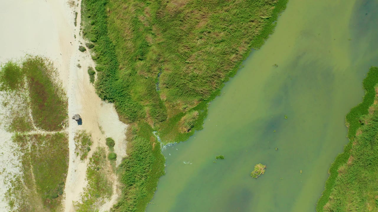 Overhead shoreline with sand, green water, vegetation, and a small boat.