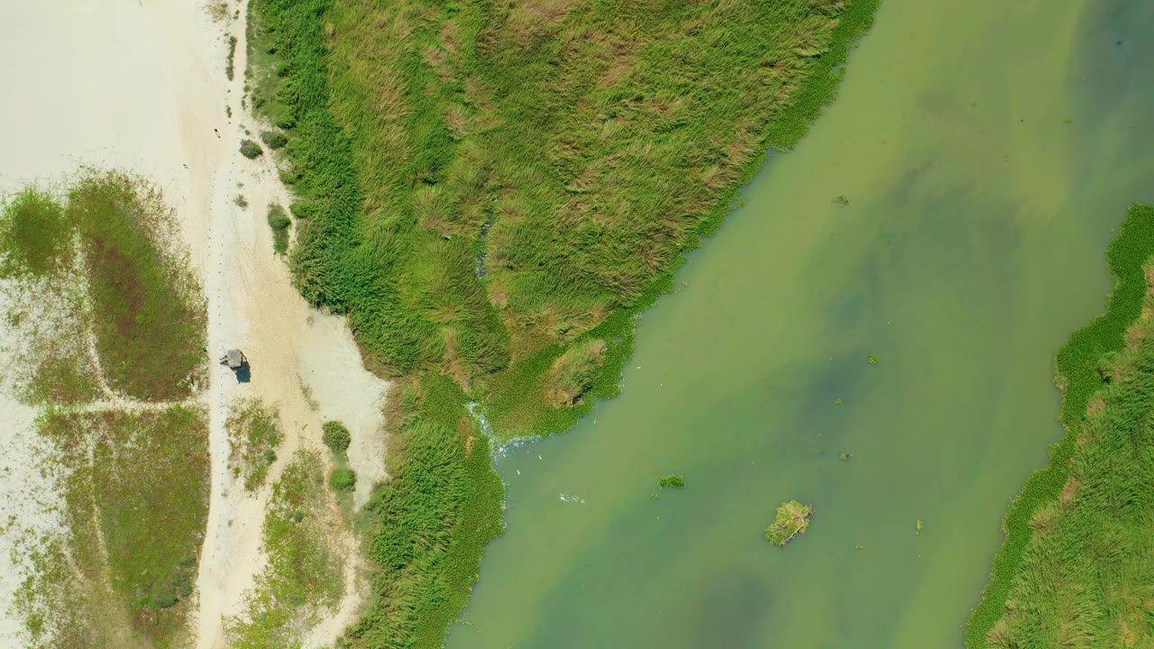 Aerial frame in San Jose del Cabo, Mexico, with green-blue water between sandy shoreline and thick vegetation, a small boat still near the left bank, and no visible people.