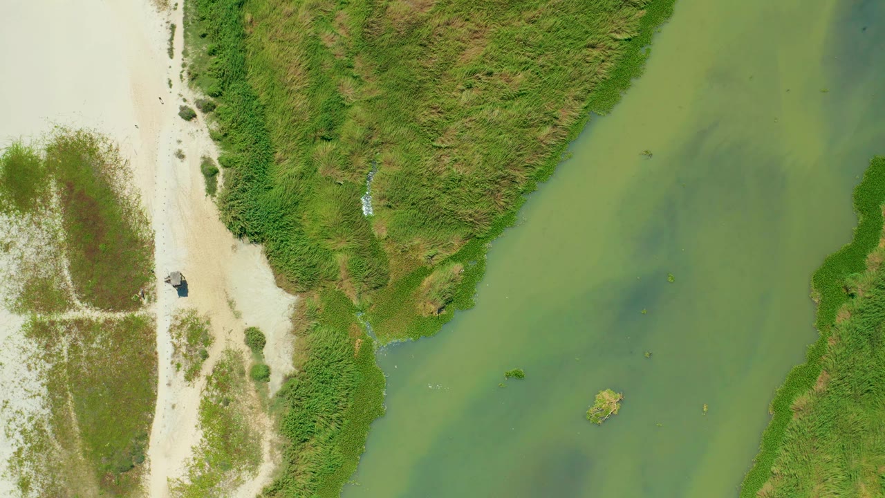 Top-down San Jose del Cabo shoreline view with pale sand on the left, green water across the middle, vegetation on both banks, the small boat near the sand, and no visible people.