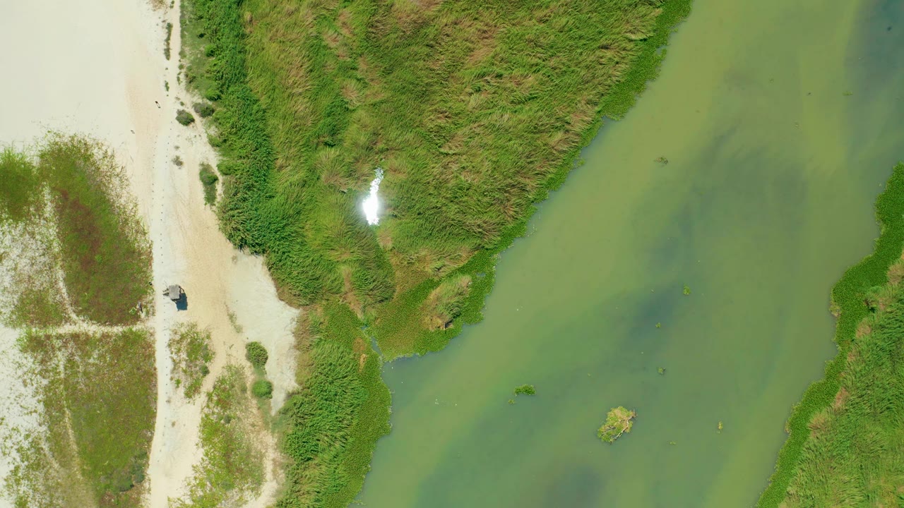 A white bird appears over the left side of the San Jose del Cabo shoreline scene, above green water and sand, with a small boat nearby and no visible people.